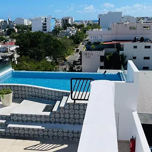 https://pavo-real-city-playa-del-carmen.tulum-hotels.net